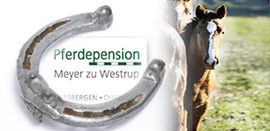 Reitanlage Westrup