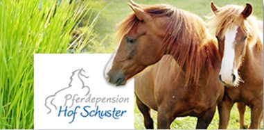 Reitstall Schuster