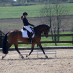 Bericht: Test of Choice