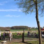 Bericht: Test of Choice