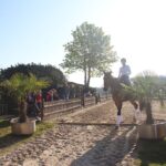 Test of Choice: Urlaubsfeeling