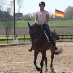 Hoch konzentriert Dressurreiten